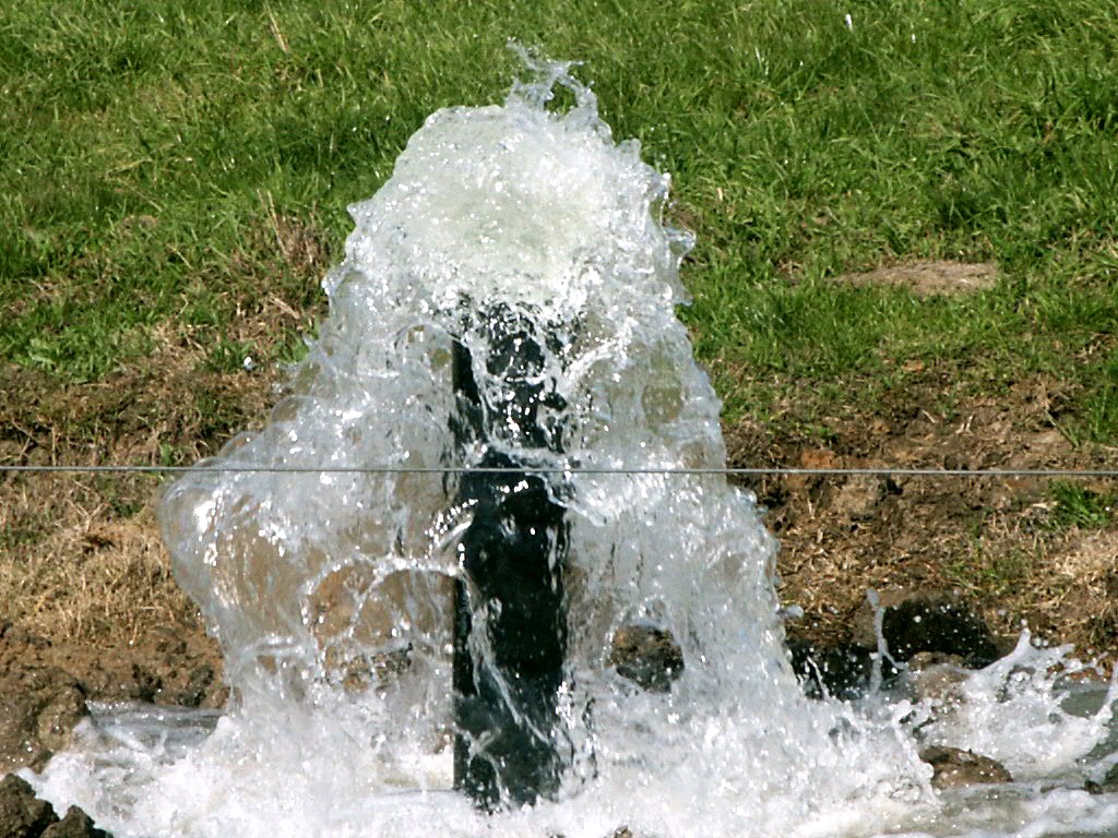 Actual leak from broken sprinkler head